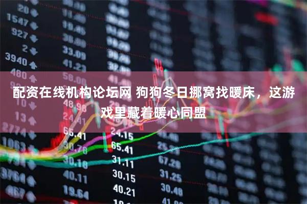 配资在线机构论坛网 狗狗冬日挪窝找暖床，这游戏里藏着暖心同盟