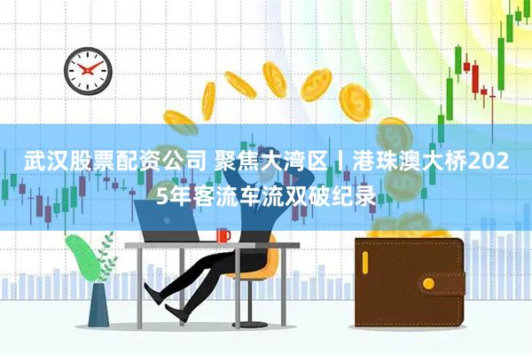 武汉股票配资公司 聚焦大湾区丨港珠澳大桥2025年客流车流双破纪录