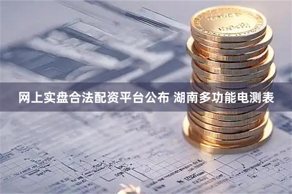 网上实盘合法配资平台公布 湖南多功能电测表