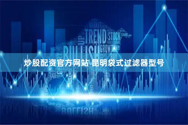 炒股配资官方网站 昆明袋式过滤器型号