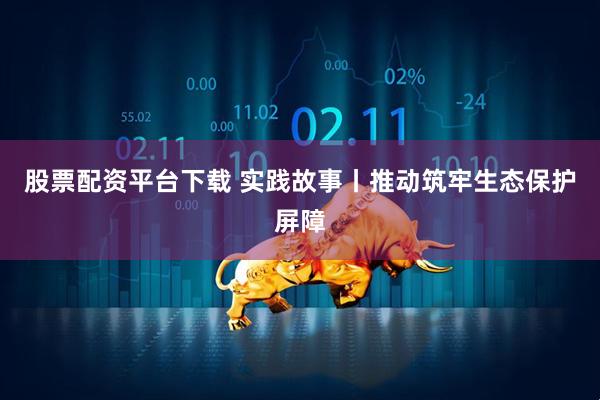 股票配资平台下载 实践故事丨推动筑牢生态保护屏障