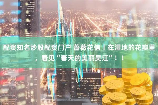配资知名炒股配资门户 蔷薇花信丨在湿地的花瓣里，看见“春天的美丽吴江”！！