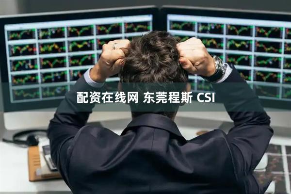 配资在线网 东莞程斯 CSI