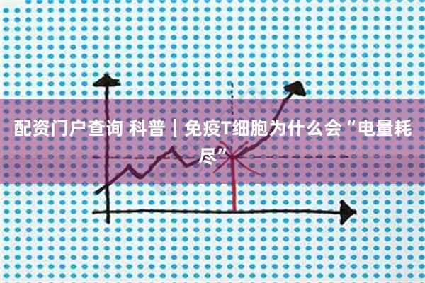 配资门户查询 科普｜免疫T细胞为什么会“电量耗尽”